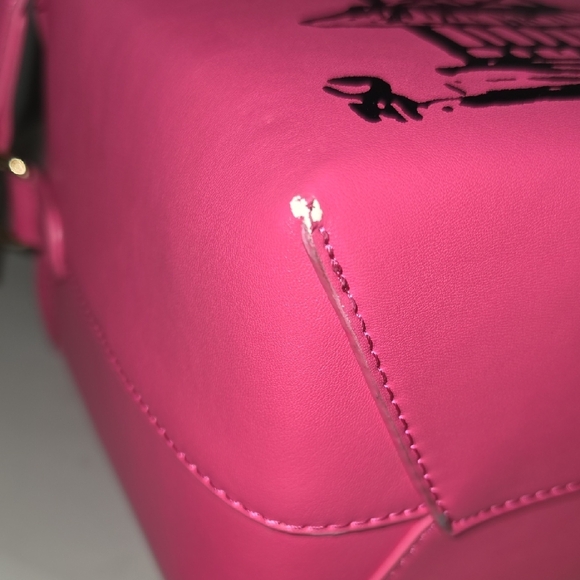 Pink Pagoda-Print Crossbody Bag - Picture 4 of 8